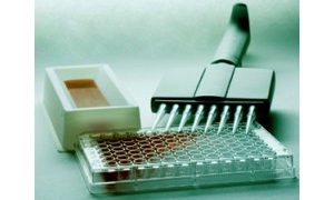 đ̴yԇעԼg(sh)ָ(do)ԭt