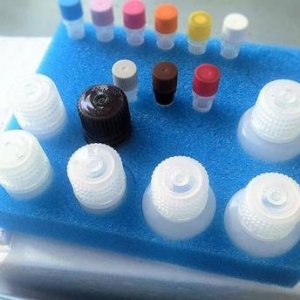 غzy(c)ԇע(c)g(sh)ָ(do)ԭt